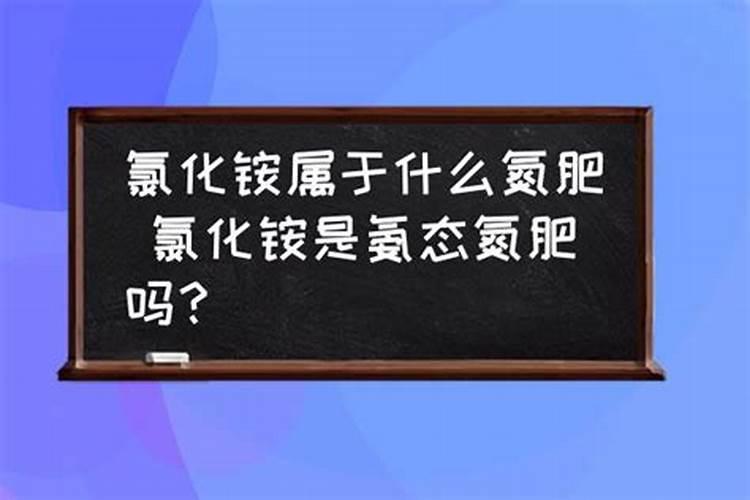 “碳肥”到底是什么肥料