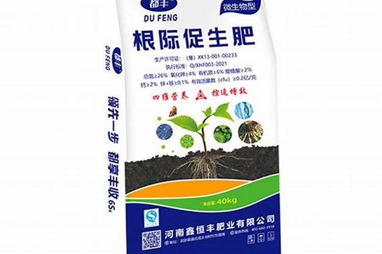 铁皮石斛用什么肥料好 怎么施肥