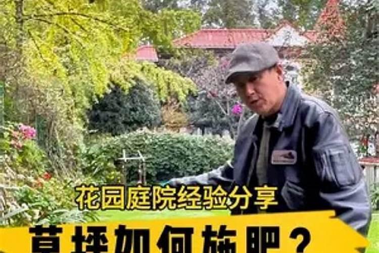 草坪草施肥啥肥料