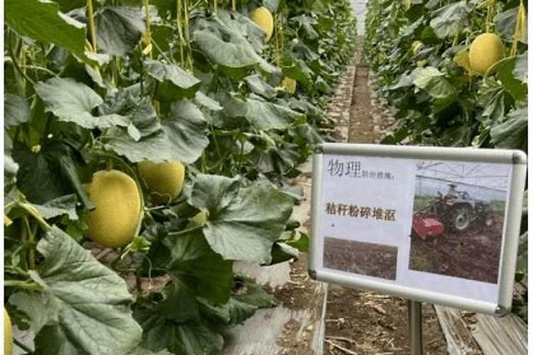 加利利地区属于哪个国家