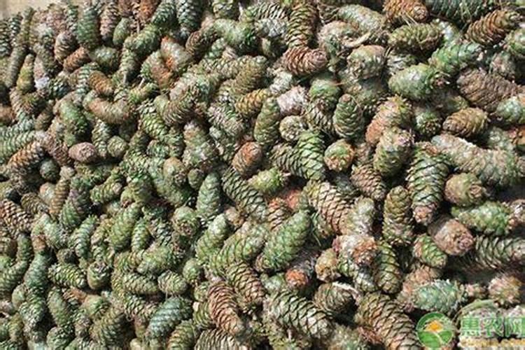 高氮复合肥有哪些