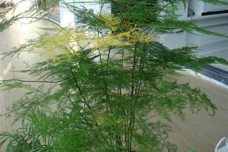 水产用的小苏打最忌讳与哪三种物质接触？