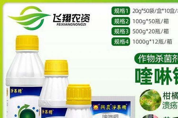 龙眼施什么肥比较好