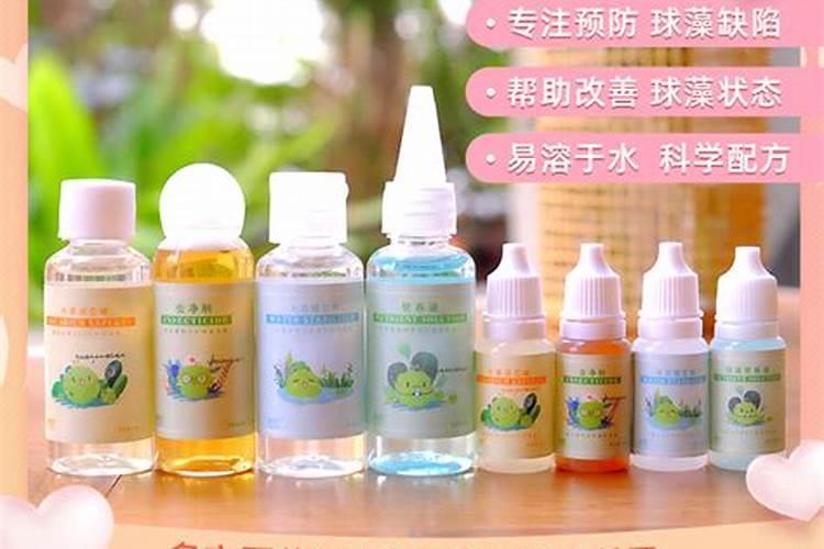 海藻球不滴营养液会死吗