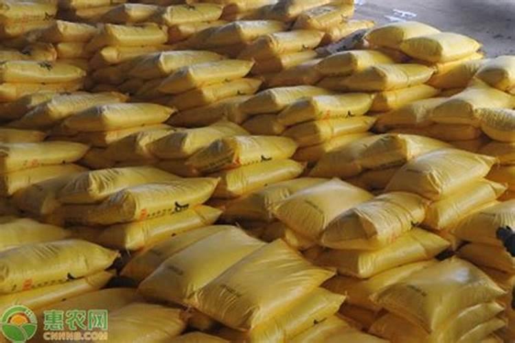 草莓怎样种植才能又大又甜