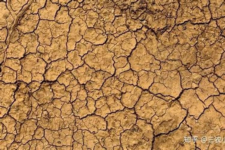 葡萄转色期,钾肥您用对了吗