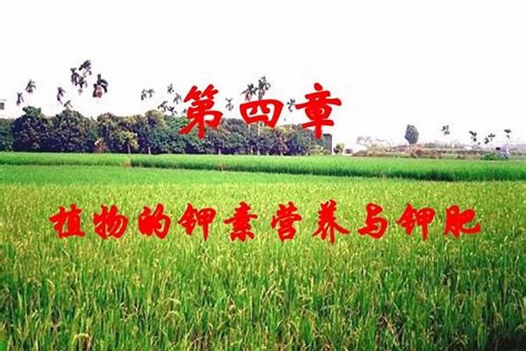 四季星复合肥怎么样