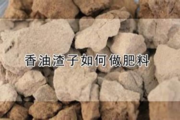 棉花想要高产应该如何施肥？棉花高产施肥技术!