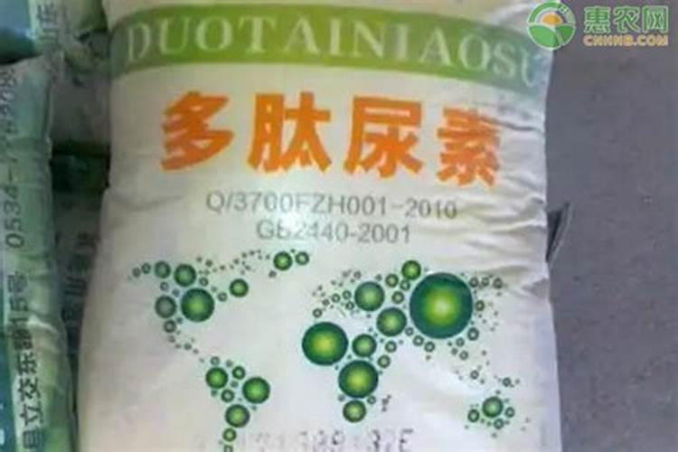 硼肥在柑橘树上的最佳使用时期