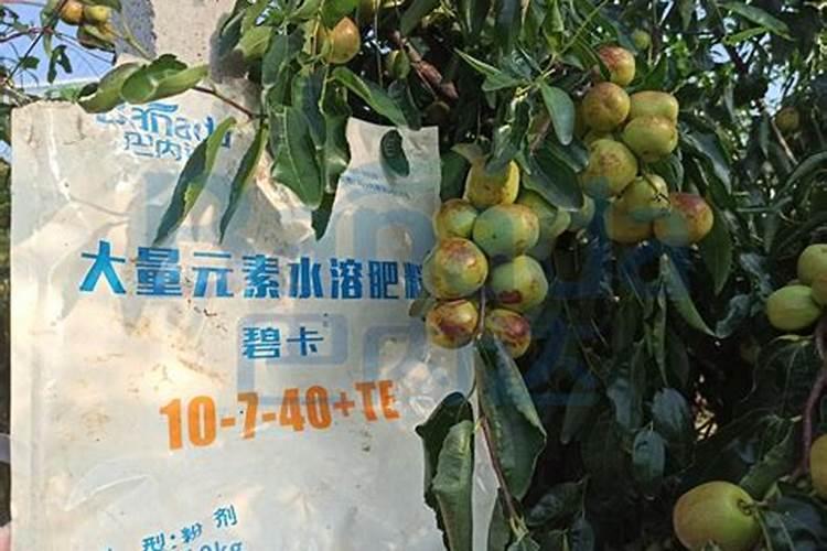 怎么辨别真假水溶肥