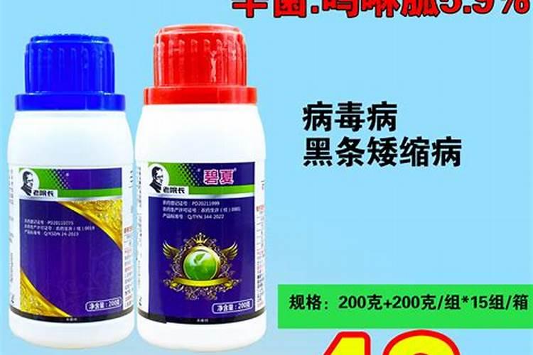 空心菜病毒病症状与防治方法