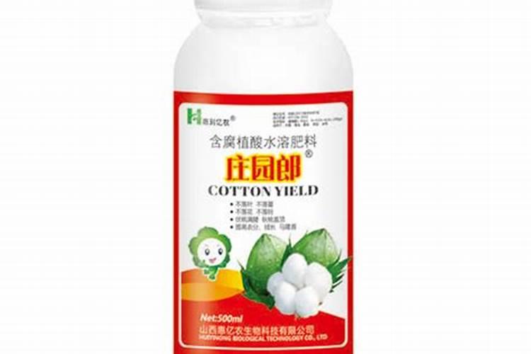 绿萝夏天怎样浇水好
