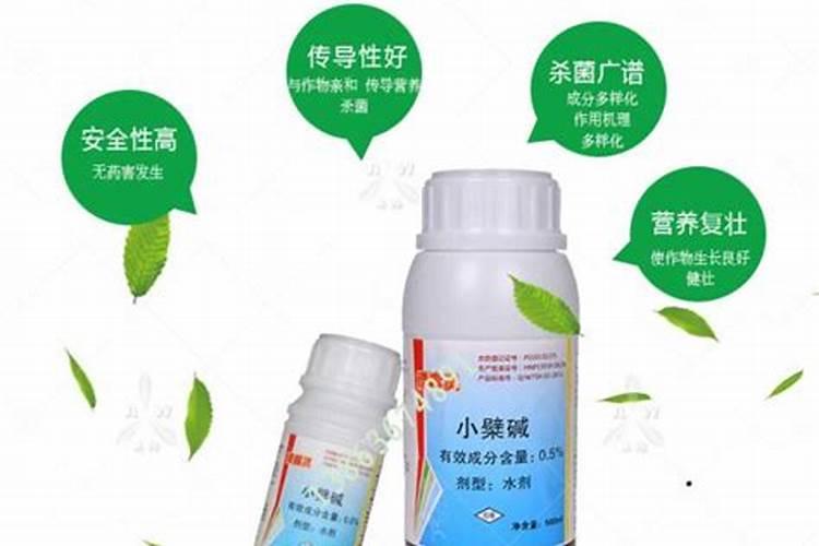 樱桃树什么季节施肥最好？？？施什么肥料？？
