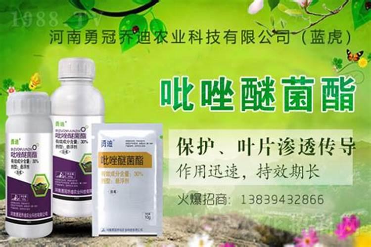 小麦高产便宜配方