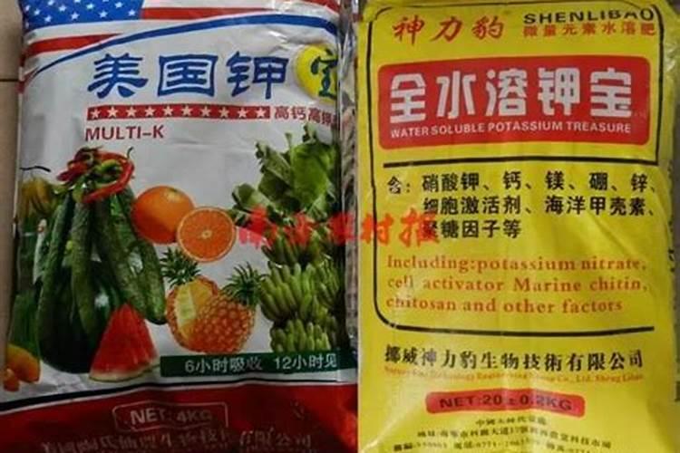 西瓜结果时需要施什么肥料