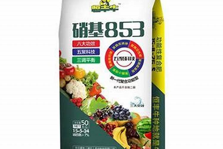 工作报告讨论发言稿