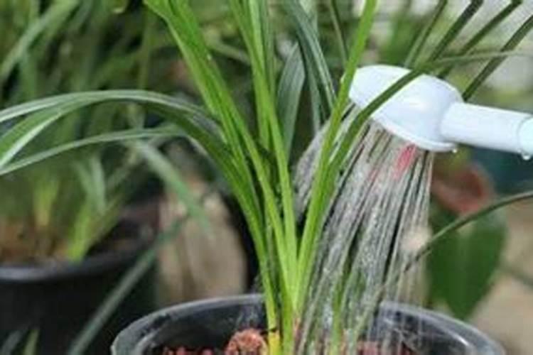 硝酸钾含量分别是多少