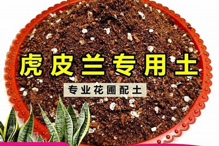 葡萄用什么药上色快