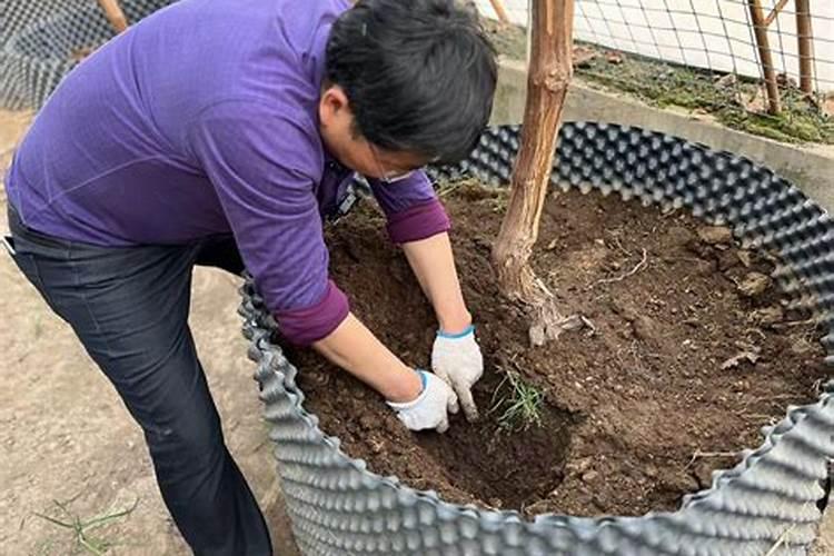 怎样制作和保存冷冻精液？