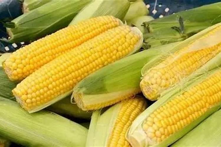 钼肥的作用及使用方法