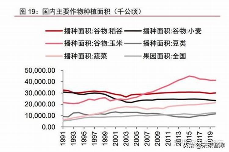 水稻钾肥怎样施用能取得明显的增产作用