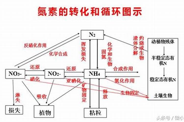 黄腐酸钾正确兑水方法