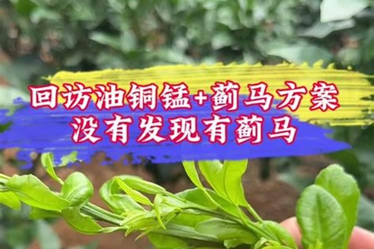 磷酸二氢钾在桃树上的使用方法