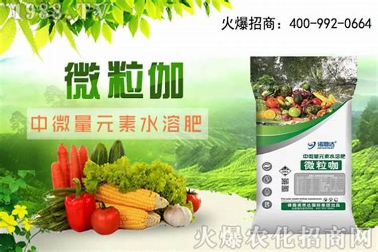 芸苔素滴灌大姜一亩地使用多少