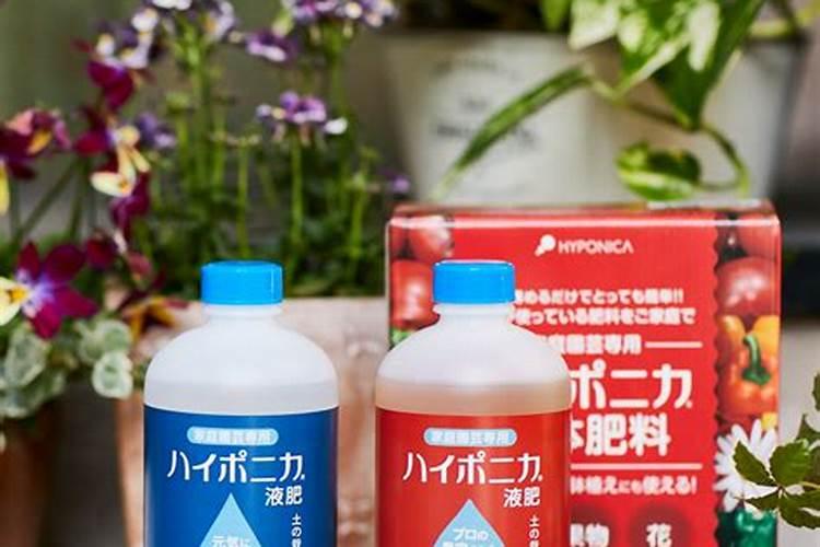 水溶肥能给农作物带来多大的帮助？