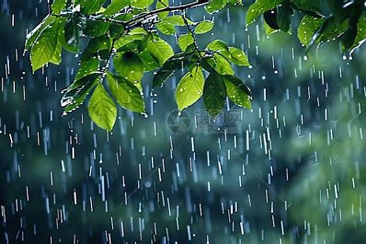 下雨前可以给果树撒施水溶肥吗？