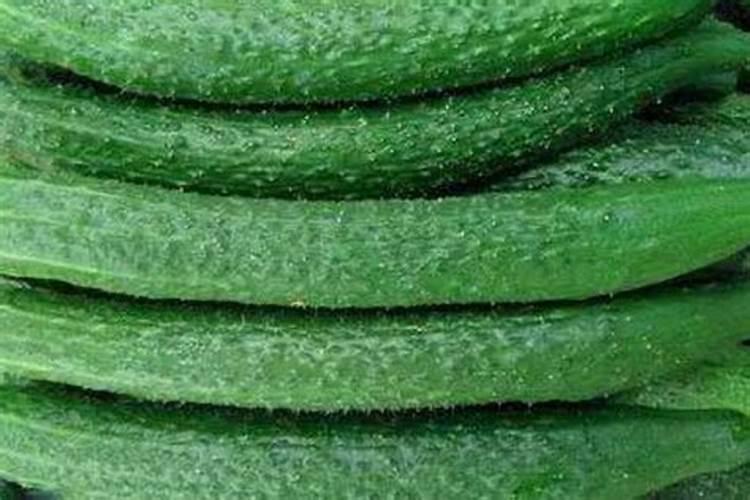 腐植酸铜有味吗