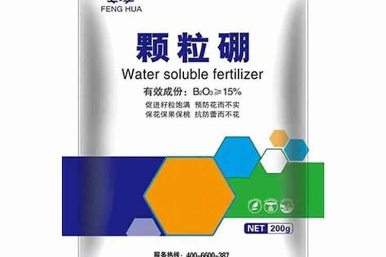 冬瓜怎么处理好能结瓜