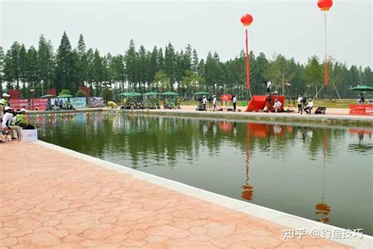 绿萝多久施一次肥 施肥用什么肥最好