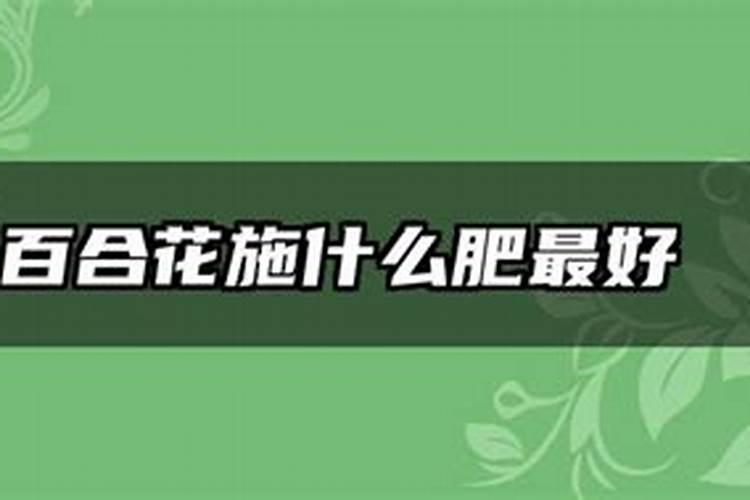 水溶肥冲施肥怎样用