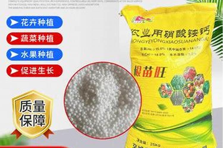 顺平的水果为什么好吃？