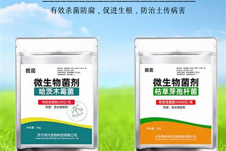 氮肥过多的补救方法