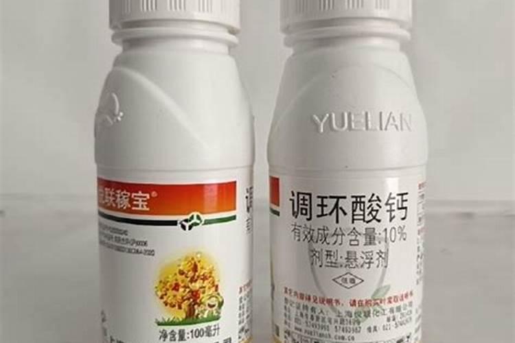 粪肥和有机肥有什么区别,什么是有机肥,为什么使用有机肥