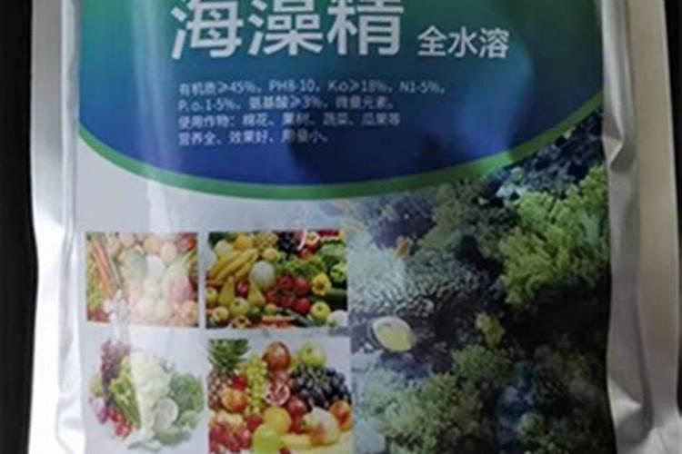 梨树什么时候施肥料最好