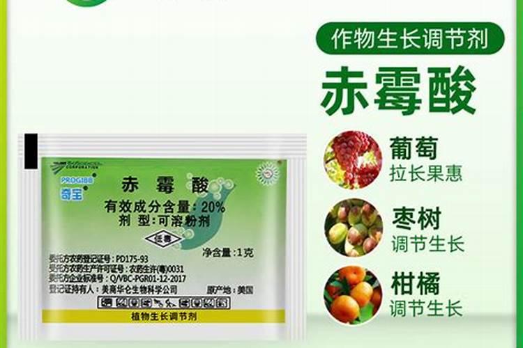 在鱼缸中放置火山石好吗？