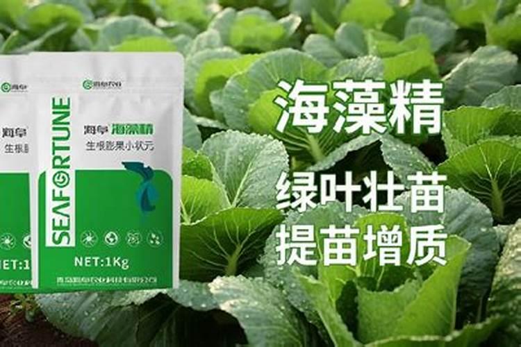 海藻精和鱼蛋白的区别？