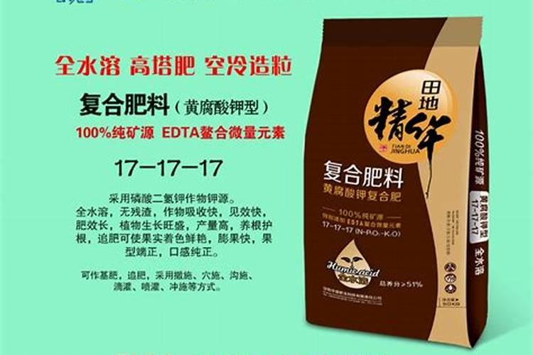 脐橙黄化树出花问题