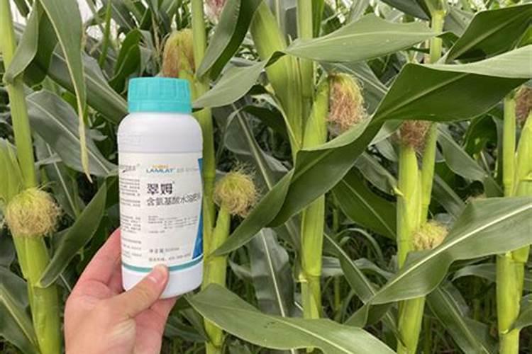 苹果树6月份施什么肥