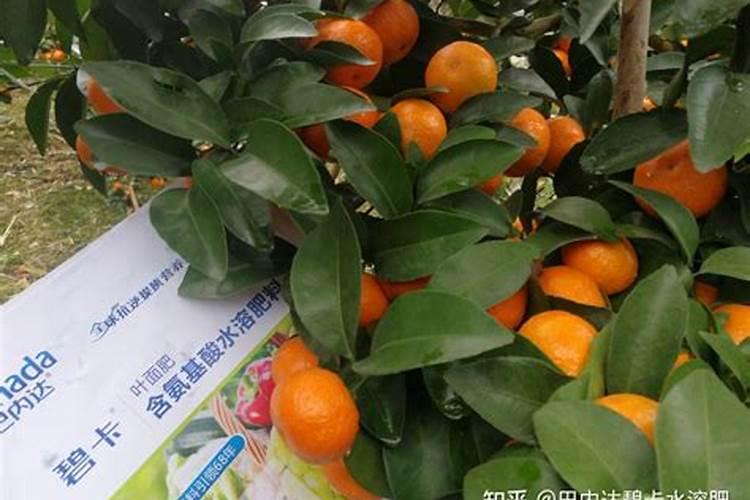 泡茶怎么能让茶包不飘起来呢？