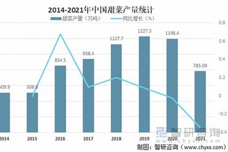 甜菜高效种植技术要点 甜菜养护应该注意什么