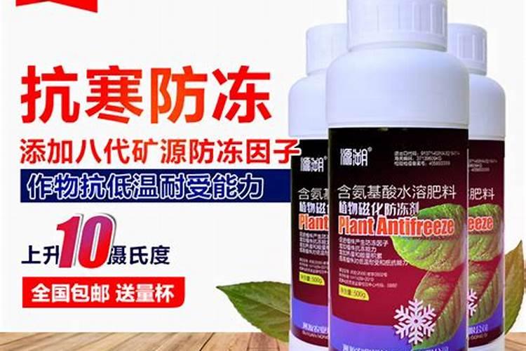 怎样才能让花菜在低温下也能抗冻