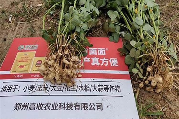 重茬花生用什么化肥 花生重茬会影响产量