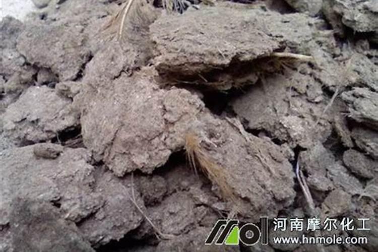 太阳花施什么肥料最好