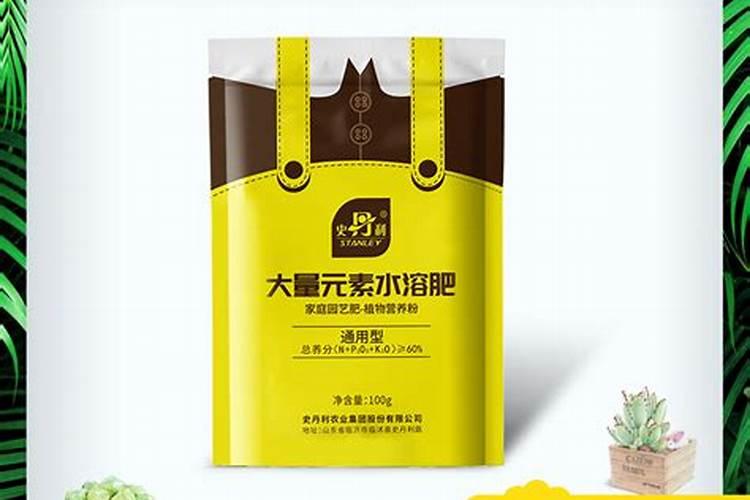 君子兰需要施什么肥