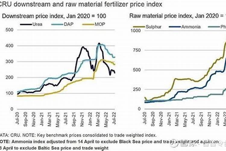 君子兰用什么肥料最好