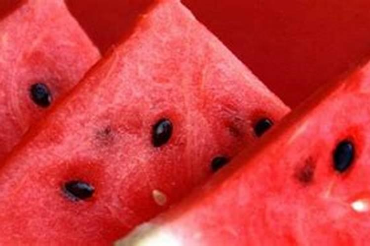 西瓜生长发育需要哪些营养元素？